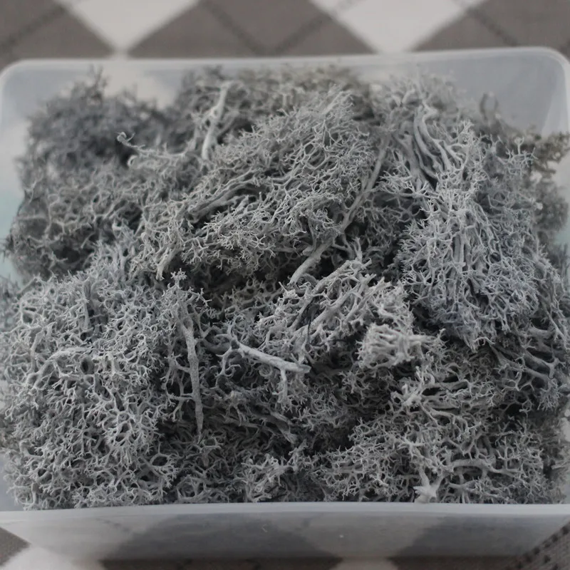 Natural Plant Immortal Flower Reindeer Moss DIY Mini Flower Accessories Home Garden Living Room Wall Lawn Decorative
Natural Plant Immortal Flower Reindeer Moss DIY Mini Flower Accessories Home Garden Living Room Wall Lawn Decorative