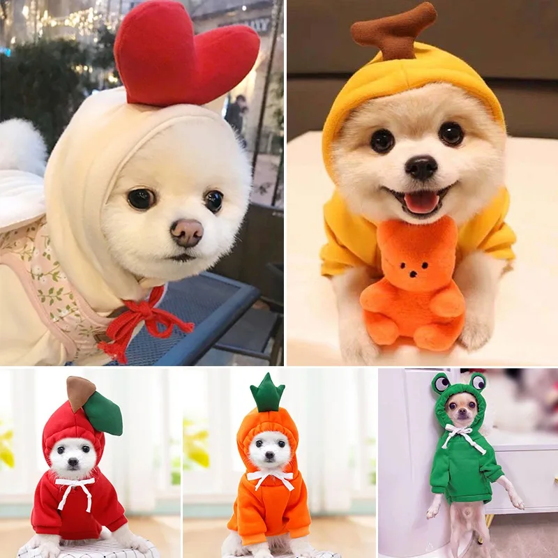 Костюм для собак, милая одежда для домашних животных, одежда для косплея с милыми фруктами, одежда для кошек на осень и зиму, домашняя пижама,...
Костюм для собак, милая одежда для домашних животных, одежда для косплея с милыми фруктами, одежда для кошек на осень и зиму, домашняя пижама,...