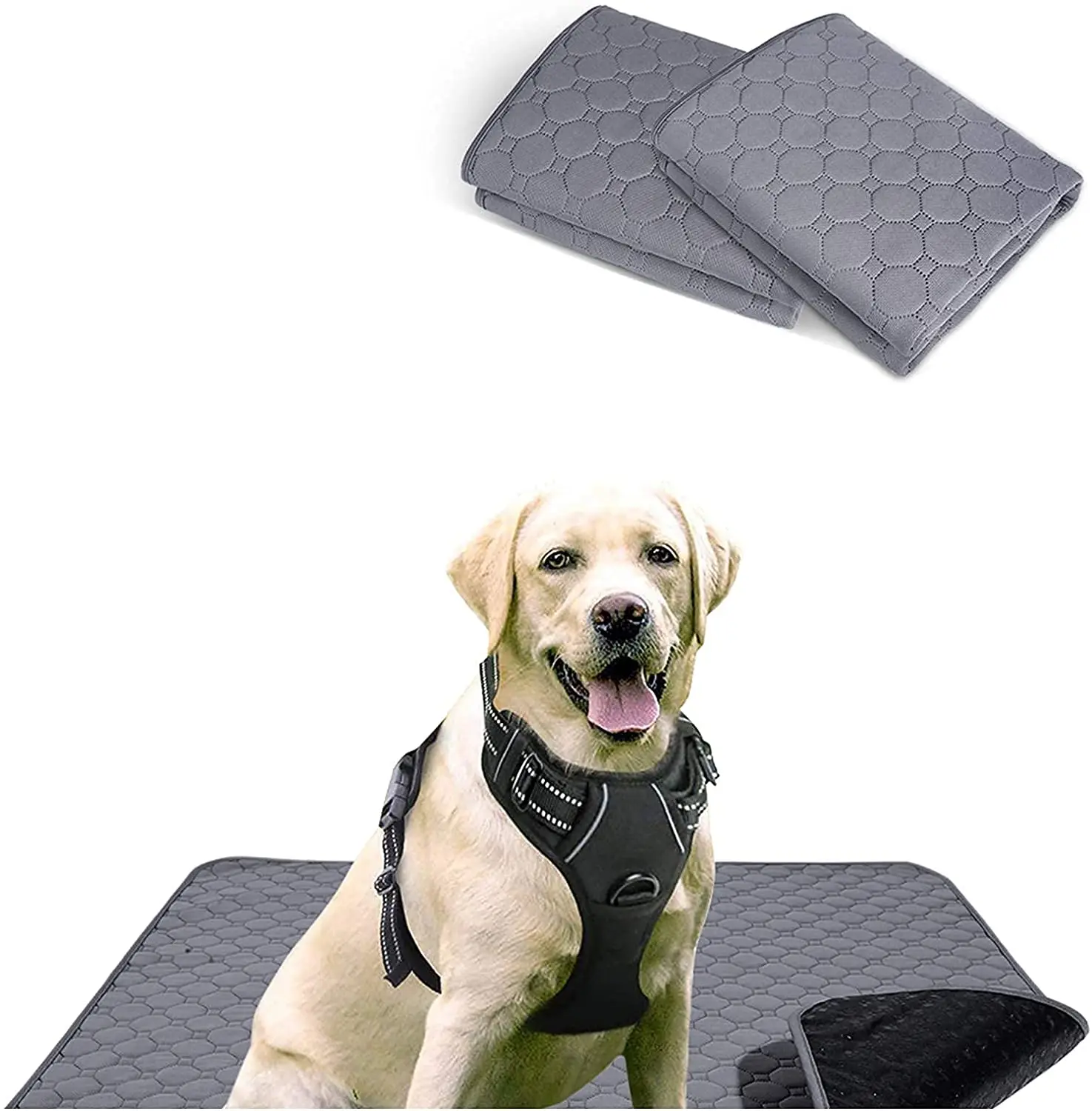Dog Harness Potty Training Pee Pads Adjustable Dog Vest Washable Pee Pads Waterproof Large Puppy Pads Super Absorbent Non-Slip
Dog Harness Potty Training Pee Pads Adjustable Dog Vest Washable Pee Pads Waterproof Large Puppy Pads Super Absorbent Non-Slip