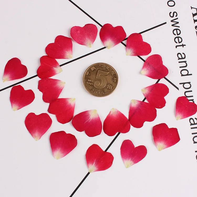 100pcs Pressed Dried Flower Rose petal Filler For Epoxy Resin Jewelry Making Postcard Frame Phone Case Craft DIY
100pcs Pressed Dried Flower Rose petal Filler For Epoxy Resin Jewelry Making Postcard Frame Phone Case Craft DIY