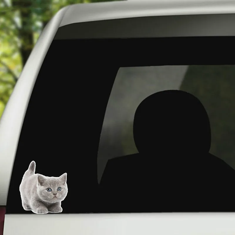 Hot Sell Personality Lovely Cat Car Stickers Accessories Motorcycle Sunscreen Waterproof PVC 14cm *13cm
Hot Sell Personality Lovely Cat Car Stickers Accessories Motorcycle Sunscreen Waterproof PVC 14cm *13cm