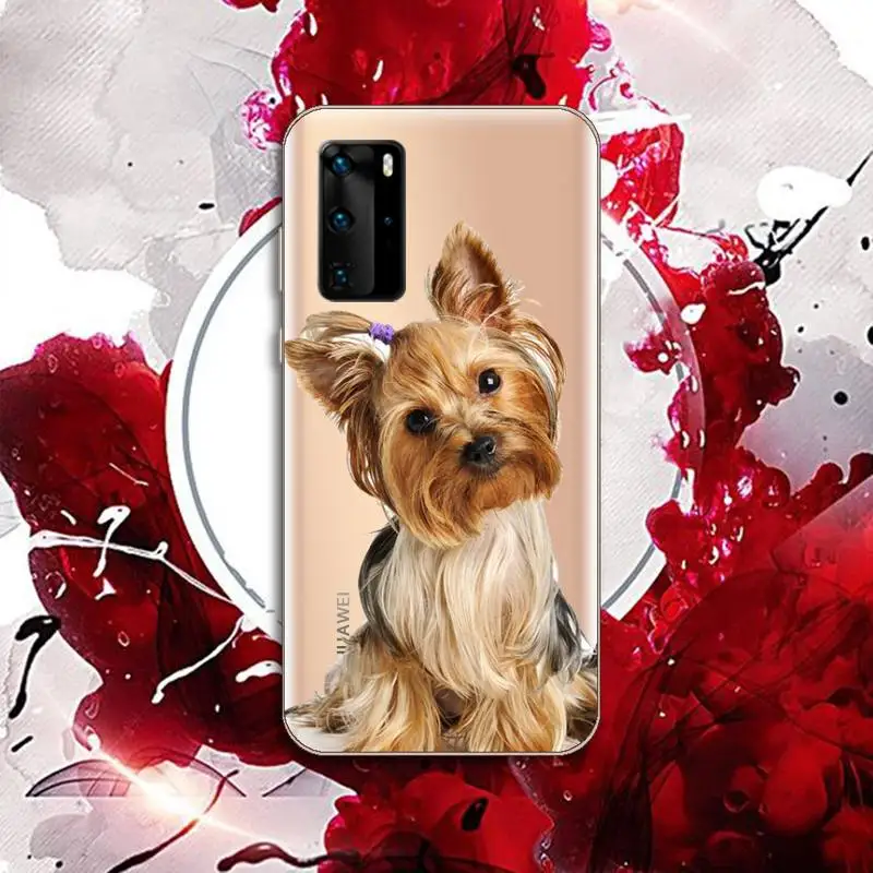 Yorkshire Terrier dog Phone Case Transparent for Huawei P honor 8 10i 20 30 40 smart 2019
Yorkshire Terrier dog Phone Case Transparent for Huawei P honor 8 10i 20 30 40 smart 2019