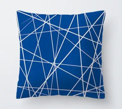 Синяя бархатная декоративная подушка 45x45
Синяя бархатная декоративная подушка 45x45