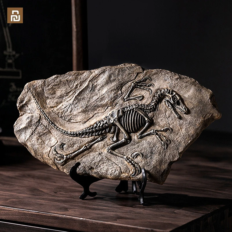 Xiaomi Youpin Dinosaur Fossil Home Decoration Handicraft Home Furnishings Handmade Home Living Room Entrance Decoration Crafts
Xiaomi Youpin Dinosaur Fossil Home Decoration Handicraft Home Furnishings Handmade Home Living Room Entrance Decoration Crafts