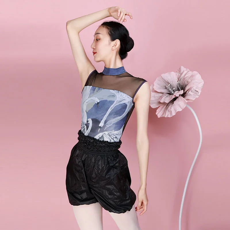 Ballet Dance Leotard Adult High Quality Gymnastics Jumpsuit Performance Costume Fairy Dancer Outfit Lyrical Dancewear
Ballet Dance Leotard Adult High Quality Gymnastics Jumpsuit Performance Costume Fairy Dancer Outfit Lyrical Dancewear