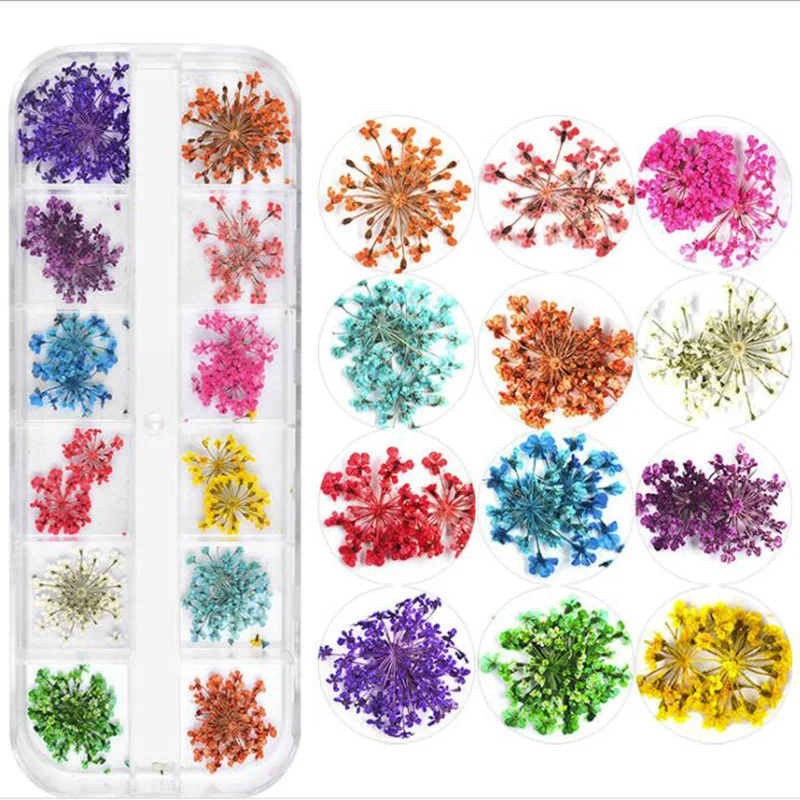 Dry Flower for Nail Art 12Grids Mix Mini Nail Dried Flowers Sticker for Tips Manicure Decor UV Gel Art Designs Real Natural
Dry Flower for Nail Art 12Grids Mix Mini Nail Dried Flowers Sticker for Tips Manicure Decor UV Gel Art Designs Real Natural