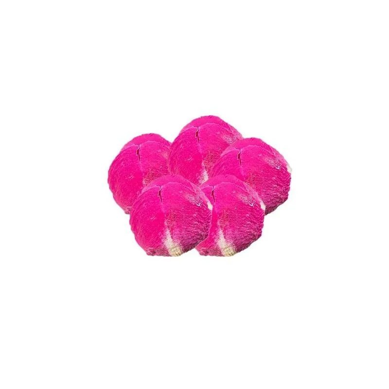 Dry Flower Bag Accessories Naturally Dried Flower Pressed Accessories Office Birthday Christmas DIY Decoration Flowers C8Q4
Dry Flower Bag Accessories Naturally Dried Flower Pressed Accessories Office Birthday Christmas DIY Decoration Flowers C8Q4