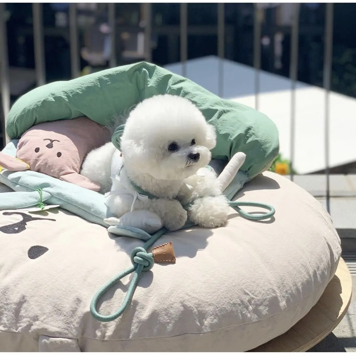 Dog Mat Cotton Semi-enclosed Sleeping Mat for Dog Soft Fluffy Dog Bed Cat Bed Bear Cute Dog Winter Sofa
Dog Mat Cotton Semi-enclosed Sleeping Mat for Dog Soft Fluffy Dog Bed Cat Bed Bear Cute Dog Winter Sofa