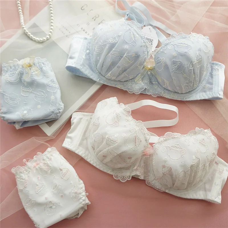 Blue White Plus Size Lingerie Bra and Panty Set Japanese Sexy Push Up Bra Panties Bralette Set Embroidery Lounge Underwear 2021 
Blue White Plus Size Lingerie Bra and Panty Set Japanese Sexy Push Up Bra Panties Bralette Set Embroidery Lounge Underwear 2021
