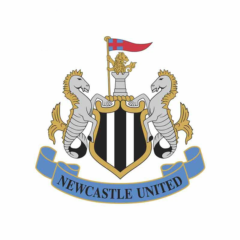 Hot Newcastle United Graphic Car Sticker Motorcycle Decals Vinyl Cover Scratches Waterproof Vinyl PVC 13cm X 13cm
Hot Newcastle United Graphic Car Sticker Motorcycle Decals Vinyl Cover Scratches Waterproof Vinyl PVC 13cm X 13cm