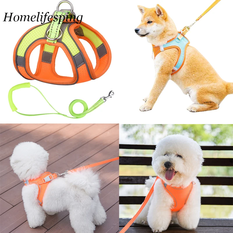 Светоотражающая шлейка для собак с поводком, дышащие Регулируемые аксессуары для маленьких и больших собак чихуахуа
Светоотражающая шлейка для собак с поводком, дышащие Регулируемые аксессуары для маленьких и больших собак чихуахуа