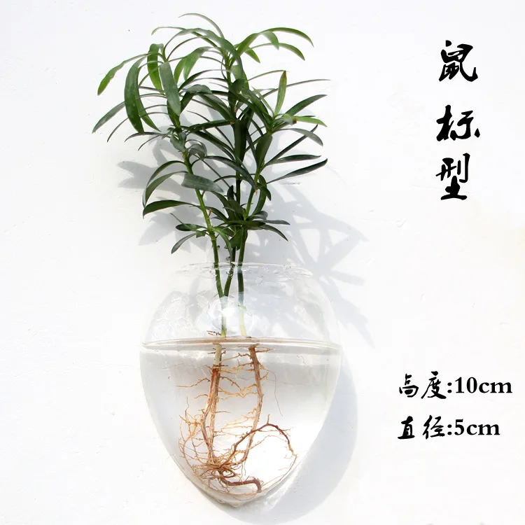Creative wall hanging vase multi-purpose transparent glass hydroponic vase flower pot
Creative wall hanging vase multi-purpose transparent glass hydroponic vase flower pot