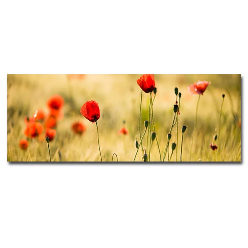 Canvas Painting Red Flowers Wall Art Poster and Prints Painting Wall Pictures for Home Living Room Decoration
Canvas Painting Red Flowers Wall Art Poster and Prints Painting Wall Pictures for Home Living Room Decoration