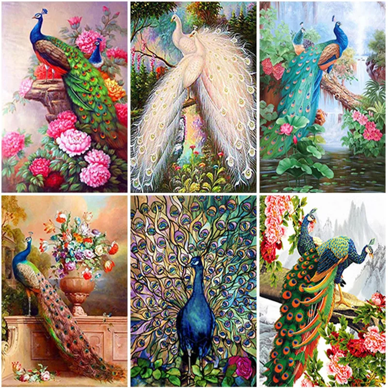 Full Dill Square Round Peacock Diamond Painting Picture of Rhinestone 5D DIY Diamond Embroidery Mosaic Animal Home Decor Gift
Full Dill Square Round Peacock Diamond Painting Picture of Rhinestone 5D DIY Diamond Embroidery Mosaic Animal Home Decor Gift