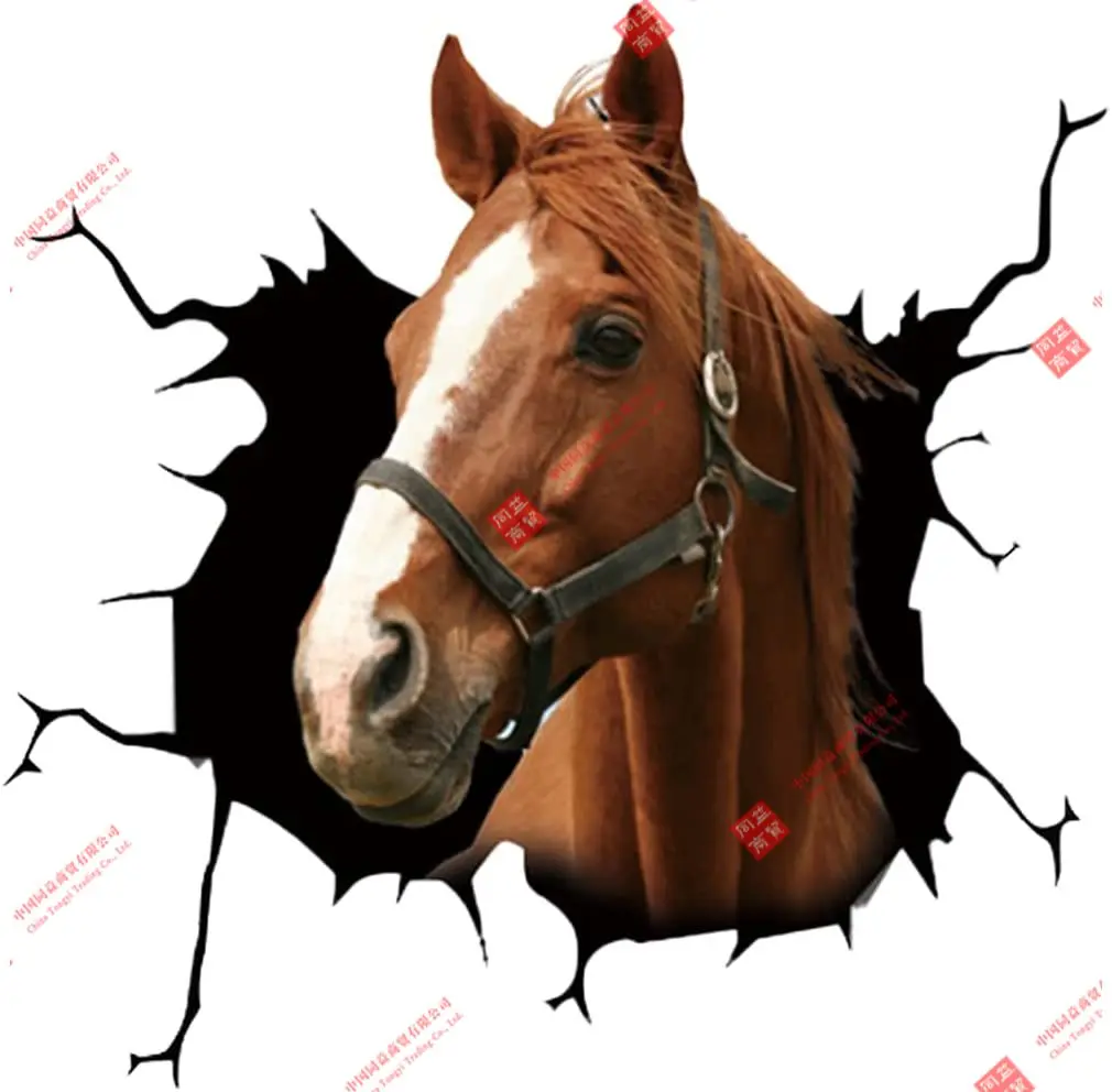 Personality Car Sticker Animal Horse 3D Fun Simulation PVC Decal Sticker Waterproof Motorcycle Decoration Car Decal Accessories
Personality Car Sticker Animal Horse 3D Fun Simulation PVC Decal Sticker Waterproof Motorcycle Decoration Car Decal Accessories