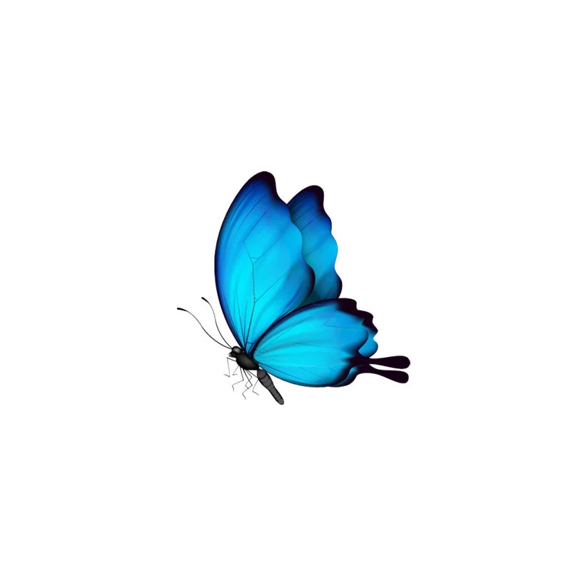 15cmx15cm Pretty butterfly Vinyl Car stickers Decals Motorcycle Accessories Car-Window Decorative Goods PVC
15cmx15cm Pretty butterfly Vinyl Car stickers Decals Motorcycle Accessories Car-Window Decorative Goods PVC