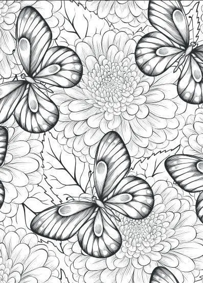 Bird Dreamland Coloring Book Secret Garden Style Coloring Book For Relieve Stress Kill Time Graffiti Painting Drawing Book
Bird Dreamland Coloring Book Secret Garden Style Coloring Book For Relieve Stress Kill Time Graffiti Painting Drawing Book