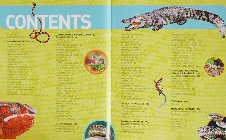 

National Geographic Kids Ultimate Reptileopedia STEAM Original Children Popular Science Books
