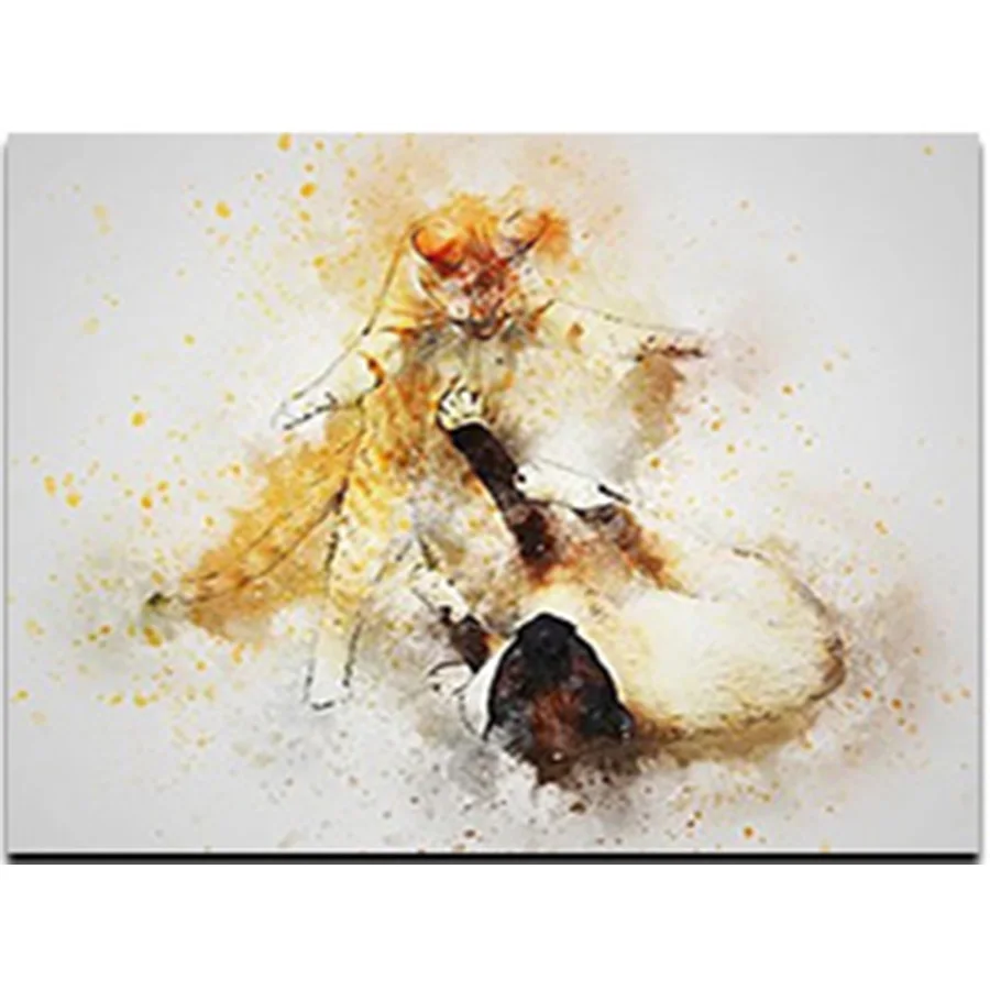 5D DIY Diamond Painting animal lion Fox Eagle Elephant Full Square&Round Diamond mosaic paint Diamond embroidery Cross stitch
5D DIY Diamond Painting animal lion Fox Eagle Elephant Full Square&Round Diamond mosaic paint Diamond embroidery Cross stitch