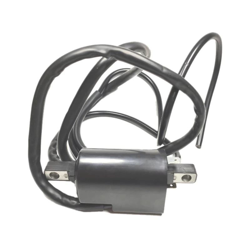 Ignition Coil GSX GTX SPX XP 787 800 for Sea Doo SeaDoo JETSKI JET SKI JETBOAT JET BOAT 2780001130 278000383
Ignition Coil GSX GTX SPX XP 787 800 for Sea Doo SeaDoo JETSKI JET SKI JETBOAT JET BOAT 2780001130 278000383