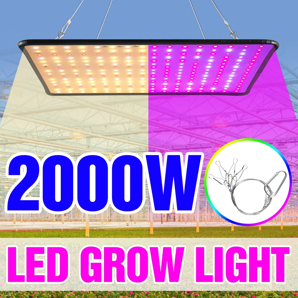 

85-265V LED Plant Grow Light 2000W Indoor Phyto Lamp Hydroponic Bulb US EU UK Full Spectrum Greenhouse Fitolampy Growth Tent Box