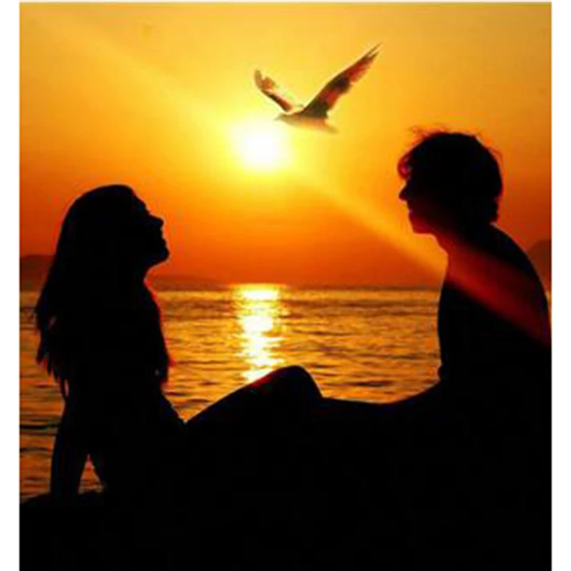 5D DIY Diamond Painting Square/Round Diamond Character Painting Seaside Sunset Couple Beauty Picture Cross Stitch Decor TX770
5D DIY Diamond Painting Square/Round Diamond Character Painting Seaside Sunset Couple Beauty Picture Cross Stitch Decor TX770