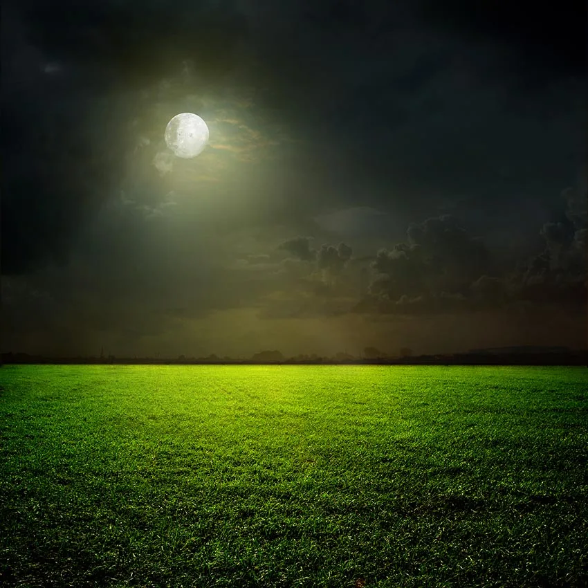 

Красивый Виниловый фон для студийной фотосъемки с изображением зеленого молодого пшеничного поля в ночное время с лунным светом 8x8 футов ...