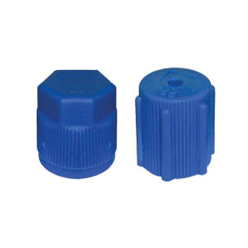 Parts A/C Cap & Valve Replacement Seal Kit Vehicle\\\\\\'s Air Conditioning Service
Parts A/C Cap & Valve Replacement Seal Kit Vehicle\\\\\\'s Air Conditioning Service