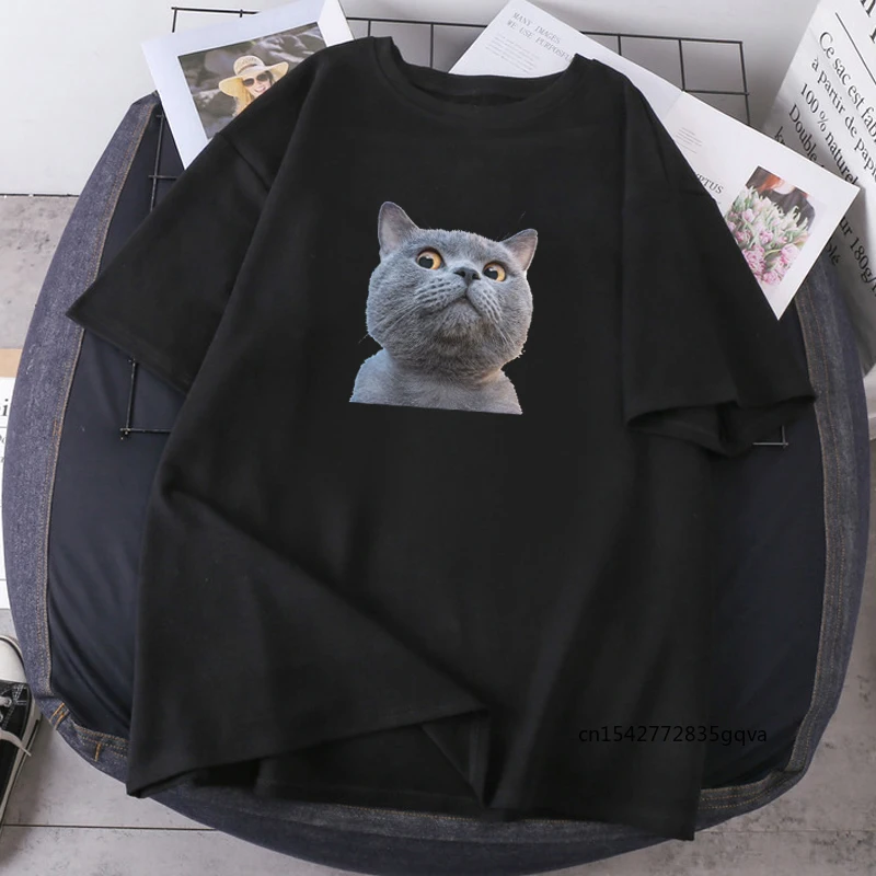 Cats Funny Print Woman T-shirts Streetwear O-neck Female Oversize Fashion Camisetas High Quality Summer Tops Tees Clothing
Cats Funny Print Woman T-shirts Streetwear O-neck Female Oversize Fashion Camisetas High Quality Summer Tops Tees Clothing
