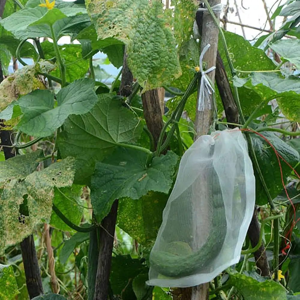 100pcs Garden Fruit Grape Net Bag Multi-function Bag Insect-proof Insect-repellent Reusable Vegetable Protection Bags
100pcs Garden Fruit Grape Net Bag Multi-function Bag Insect-proof Insect-repellent Reusable Vegetable Protection Bags