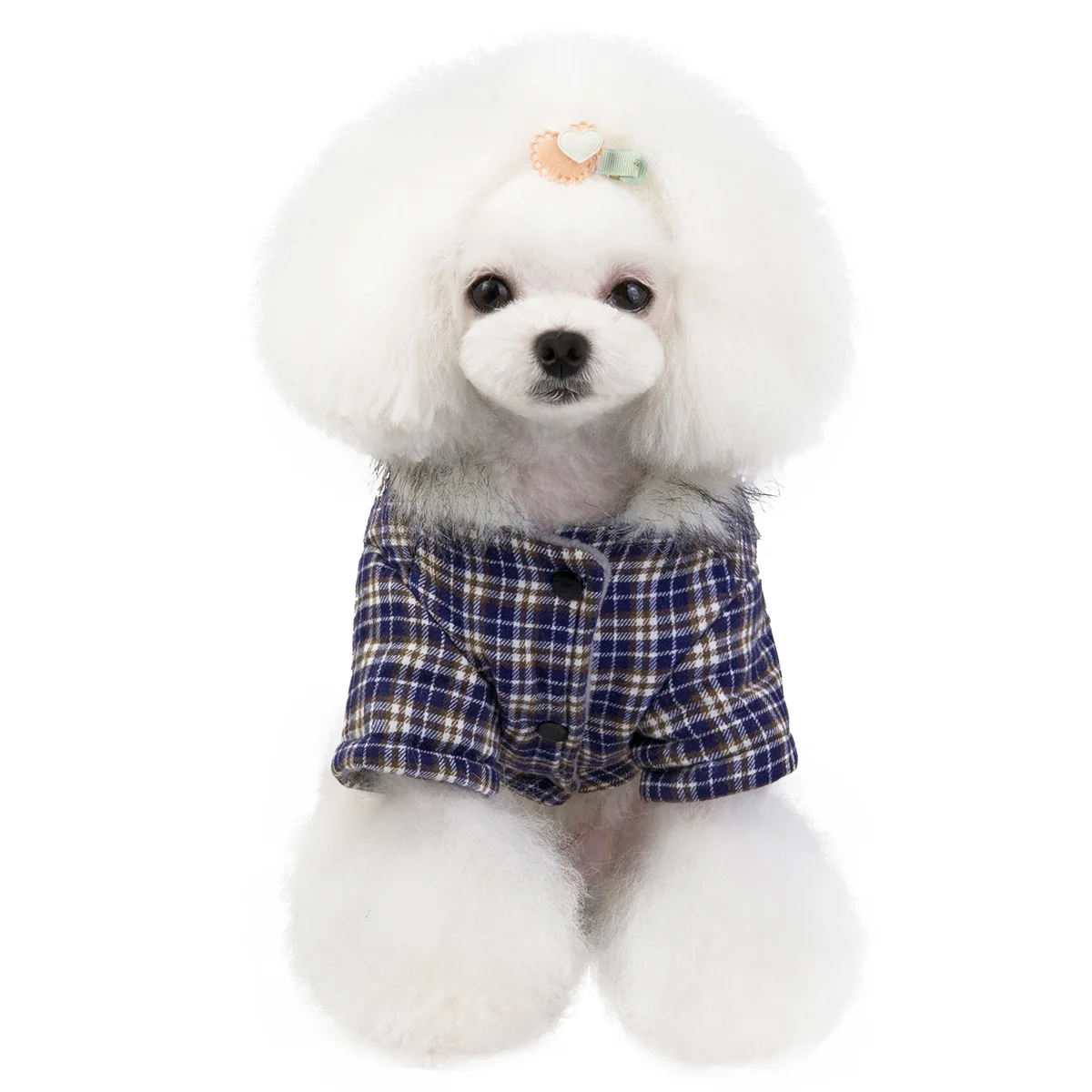 Pet Dog Clothes Autumn and Winter Cold-Proof Hooded Down Jacket Small Dog Padded Coat Teddy Bichon British Style Two-Legged Coat
Pet Dog Clothes Autumn and Winter Cold-Proof Hooded Down Jacket Small Dog Padded Coat Teddy Bichon British Style Two-Legged Coat