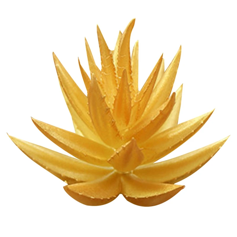 5PCS Faux Succulents Various Mini Artificial Succulents Office Desk Ornaments Home Garden Decoration Fake Artificial Succulents 
5PCS Faux Succulents Various Mini Artificial Succulents Office Desk Ornaments Home Garden Decoration Fake Artificial Succulents