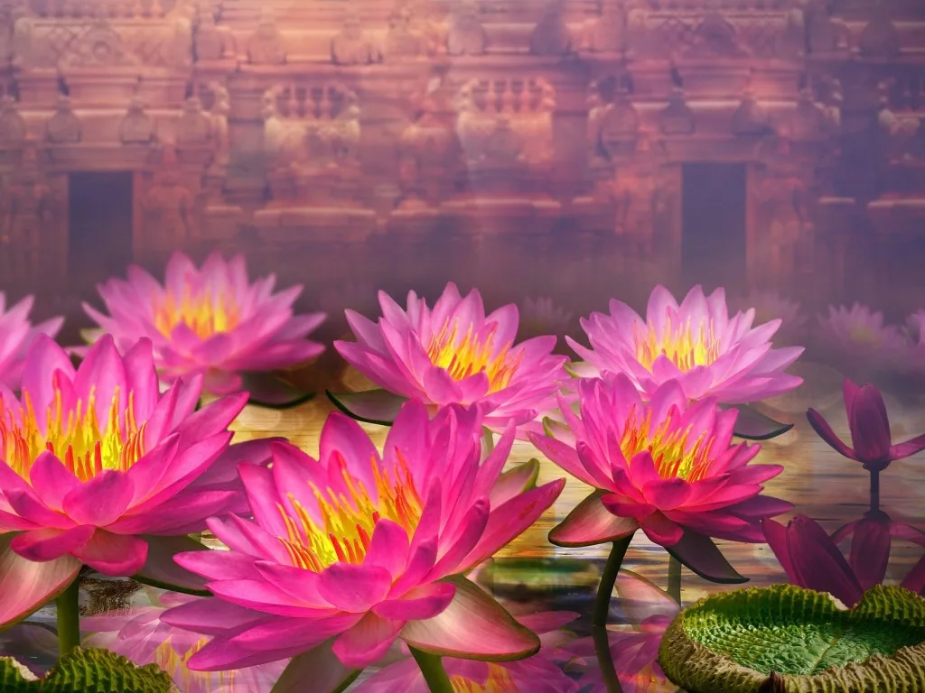 JMINE Div 5D цветок лотоса полностью Алмазная краска наборы для вышивки крестиком искусство Высокое качество Цветочная 3D краска алмазами 
JMINE Div 5D цветок лотоса полностью Алмазная краска наборы для вышивки крестиком искусство Высокое качество Цветочная 3D краска алмазами