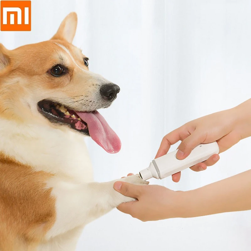 Xiaomi Youpin Pawbby Pet Electric Nail Polisher Usb Charging Cat Dog Scissors Nail Care Low Noise Safety Cutte Pet Grooming Tool
Xiaomi Youpin Pawbby Pet Electric Nail Polisher Usb Charging Cat Dog Scissors Nail Care Low Noise Safety Cutte Pet Grooming Tool