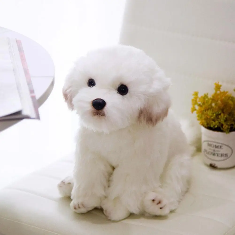 Maltese Stuffed Dog Plush Toy Cute Simulation Pets Dolls Bichon Gifts Plush Toy Frise For Children Birthday Baby Fluffy Pup L1T3
Maltese Stuffed Dog Plush Toy Cute Simulation Pets Dolls Bichon Gifts Plush Toy Frise For Children Birthday Baby Fluffy Pup L1T3