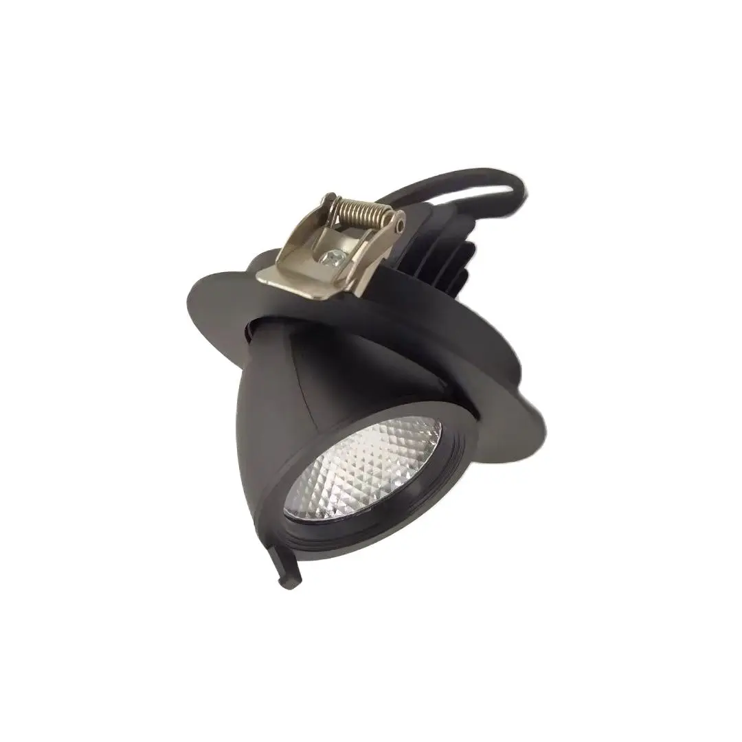 18W Dimmable Recessed COB Led Down Light Adjustable LED COB Downlight Ceiling Lamp Rotatable LED Trunk Light
18W Dimmable Recessed COB Led Down Light Adjustable LED COB Downlight Ceiling Lamp Rotatable LED Trunk Light
