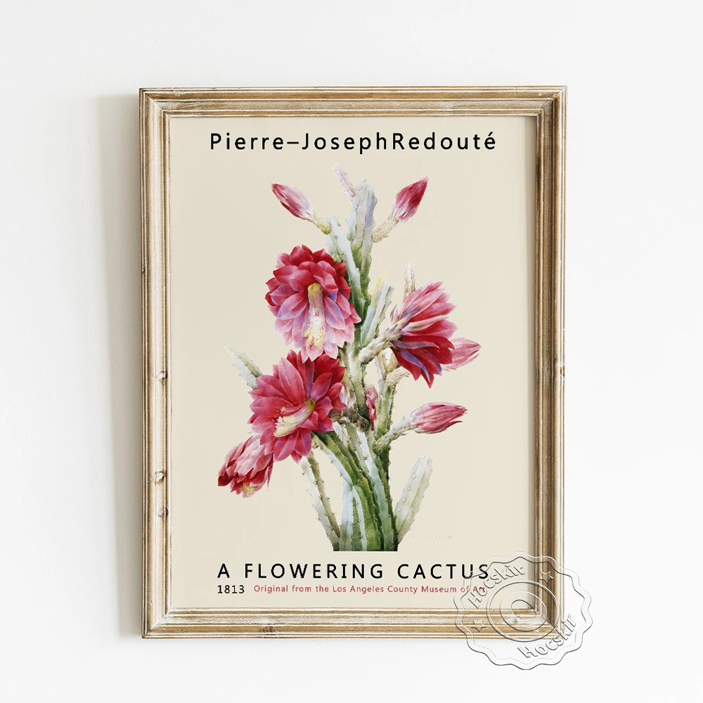 Pierre Joseph Redoute Exhibition Museum Art Poster, A Flowering Cactus Canvas Painting, Vintage Flowers Wall Picture Home Decor
Pierre Joseph Redoute Exhibition Museum Art Poster, A Flowering Cactus Canvas Painting, Vintage Flowers Wall Picture Home Decor