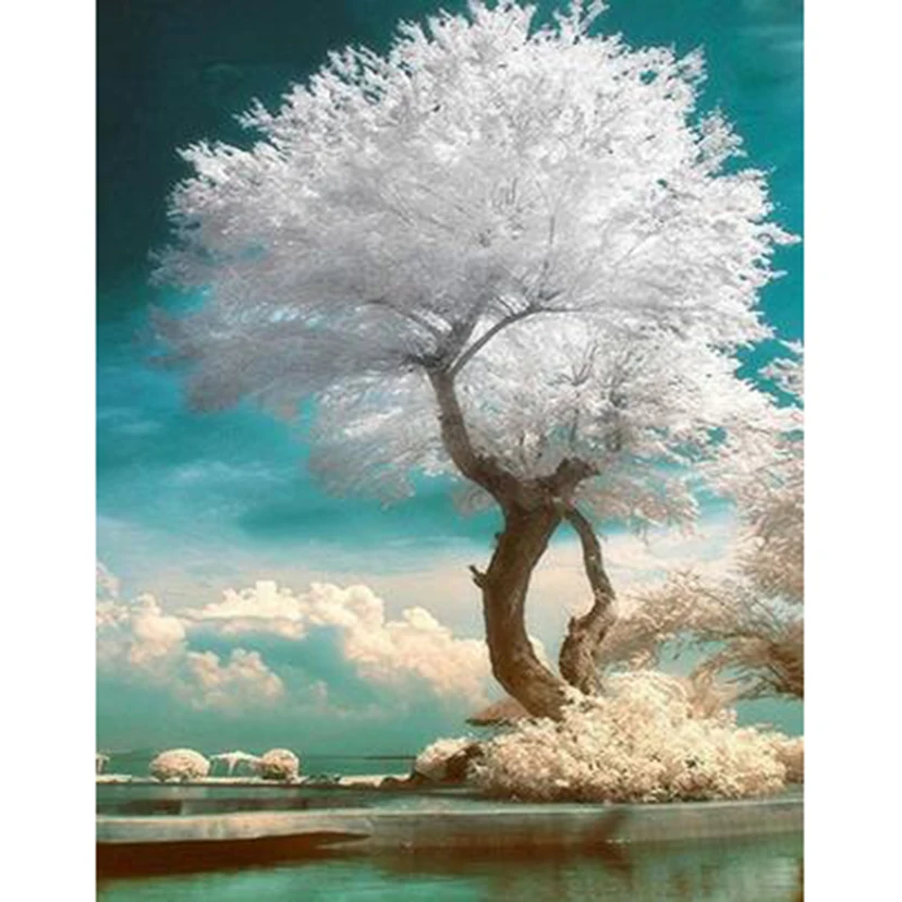 5D DIY Diamond Painting Square/Round Diamond Landscape Painting Lakeside White Landscape Tree Beauty Picture Cross Stitch TX813 
5D DIY Diamond Painting Square/Round Diamond Landscape Painting Lakeside White Landscape Tree Beauty Picture Cross Stitch TX813