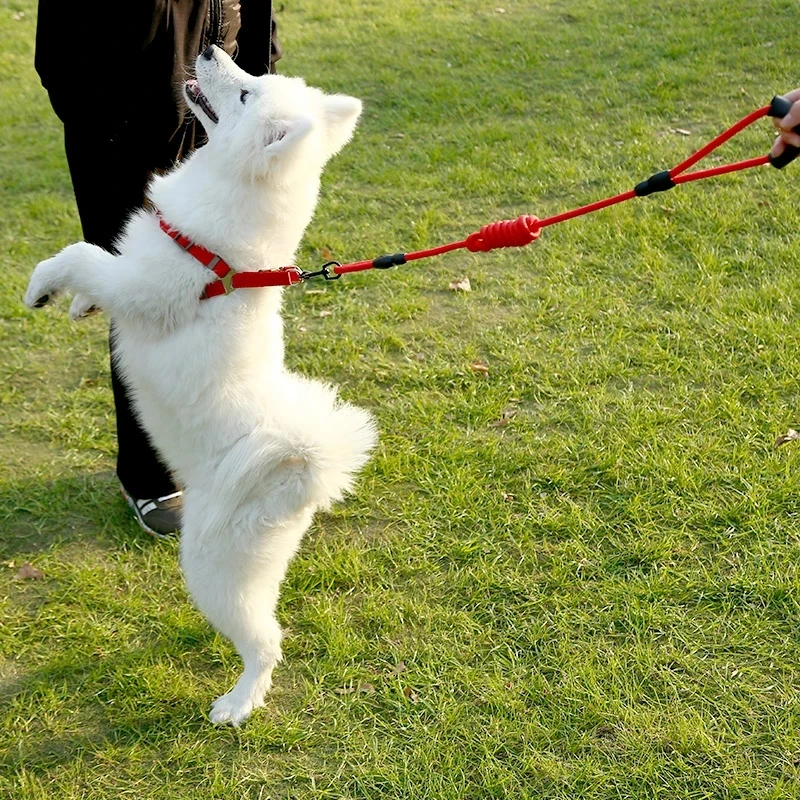 Dog Leash Cat Chain Traction Rope Pet Dog Harness for Dog & Cat Running or Training Collar and Harness Pet Supplies 
Dog Leash Cat Chain Traction Rope Pet Dog Harness for Dog & Cat Running or Training Collar and Harness Pet Supplies