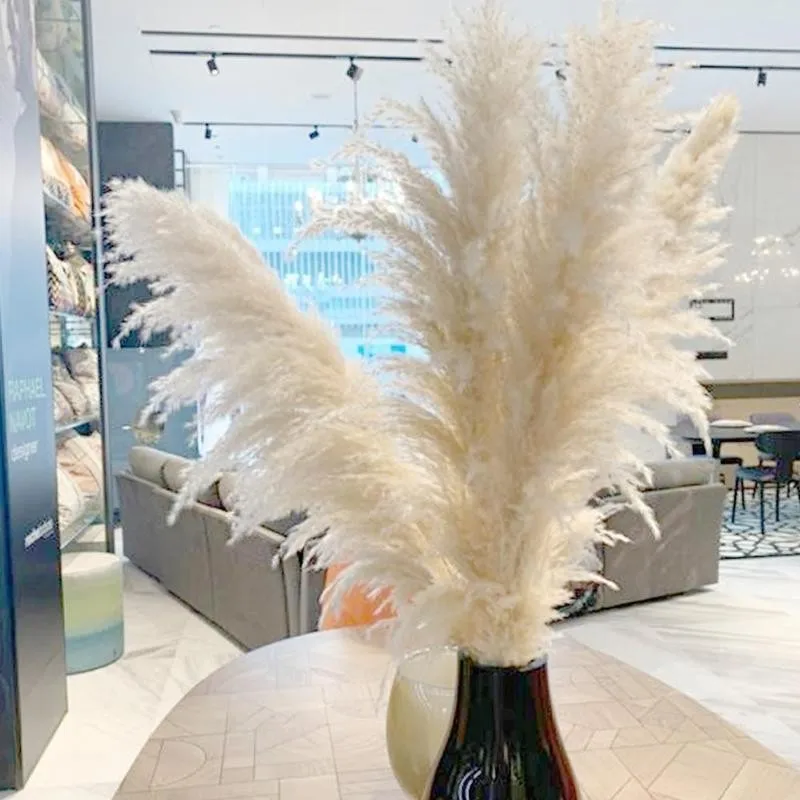 1pc 20-55cm Beige Pampas Grass Decor Extra Large Natural Dried Flowers Vintage Style Wedding Flower Bouquet Valentine's Day Gift
1pc 20-55cm Beige Pampas Grass Decor Extra Large Natural Dried Flowers Vintage Style Wedding Flower Bouquet Valentine's Day Gift