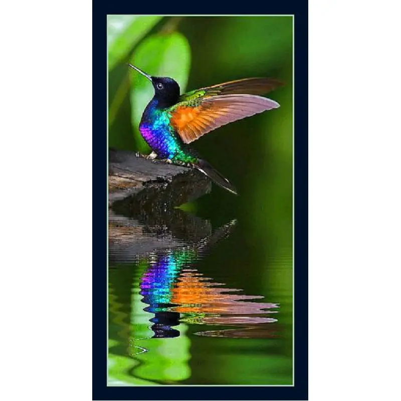 5D DIY Diamond Painting Cross Stitch "Hummingbird" Full Square Diamond Embroidery Animal bird Painting Rhinestone Mosaic Crafts 
5D DIY Diamond Painting Cross Stitch "Hummingbird" Full Square Diamond Embroidery Animal bird Painting Rhinestone Mosaic Crafts