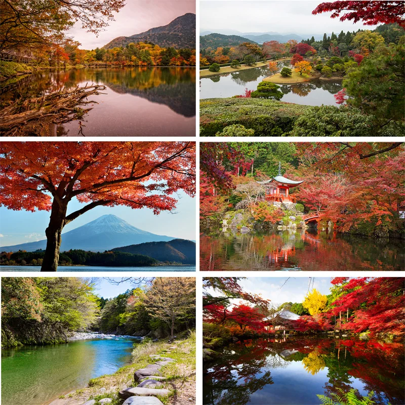 SHENGYONGBAO художественный тканевый фон для фотосъемки декорации тема для фотосъемки 200309RD-02
SHENGYONGBAO художественный тканевый фон для фотосъемки декорации тема для фотосъемки 200309RD-02