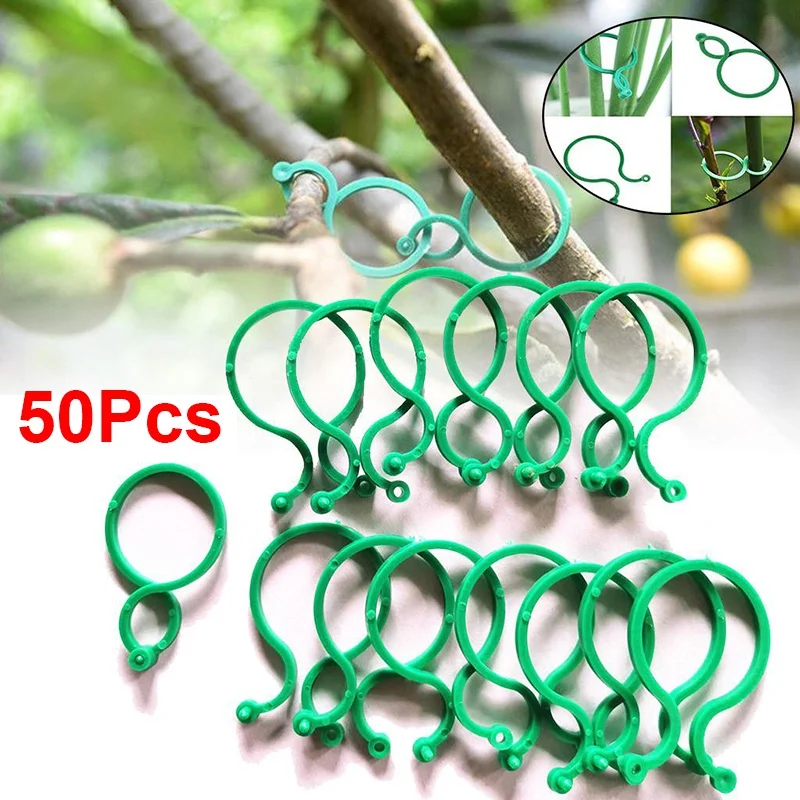 50/100Pcs Reusable Gardening 8-shaped Buckle Ring Tomato Flower Fastener Tree Lock Gourd Ring Gardening Accessories Plant Stem
50/100Pcs Reusable Gardening 8-shaped Buckle Ring Tomato Flower Fastener Tree Lock Gourd Ring Gardening Accessories Plant Stem