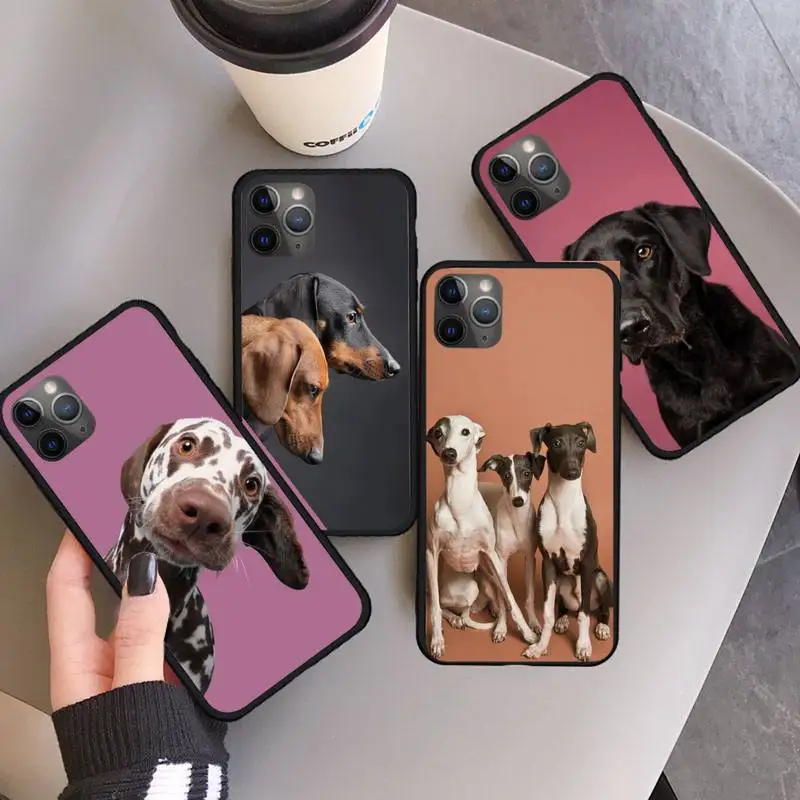 Cute Dachshund dog Phone Case for iPhone 11 12 pro XS MAX 8 7 6 6S Plus X 5S SE 2020 XR mini
Cute Dachshund dog Phone Case for iPhone 11 12 pro XS MAX 8 7 6 6S Plus X 5S SE 2020 XR mini