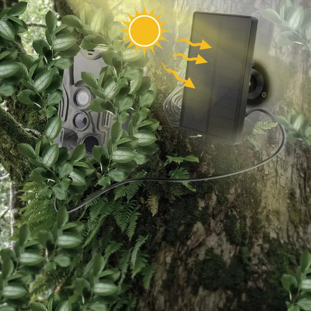 HC801A Hunting Trail Camera visione notturna gioco selvaggio notte animale foto termica 20MP fauna selvatica telecamera
HC801A Hunting Trail Camera visione notturna gioco selvaggio notte animale foto termica 20MP fauna selvatica telecamera