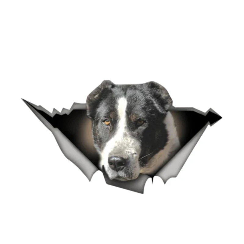S50313#13/15/17CM Personality PVC Decal Black White Alabai Dog Car Sticker on Motorcycle Laptop Decorative Accessories
S50313#13/15/17CM Personality PVC Decal Black White Alabai Dog Car Sticker on Motorcycle Laptop Decorative Accessories