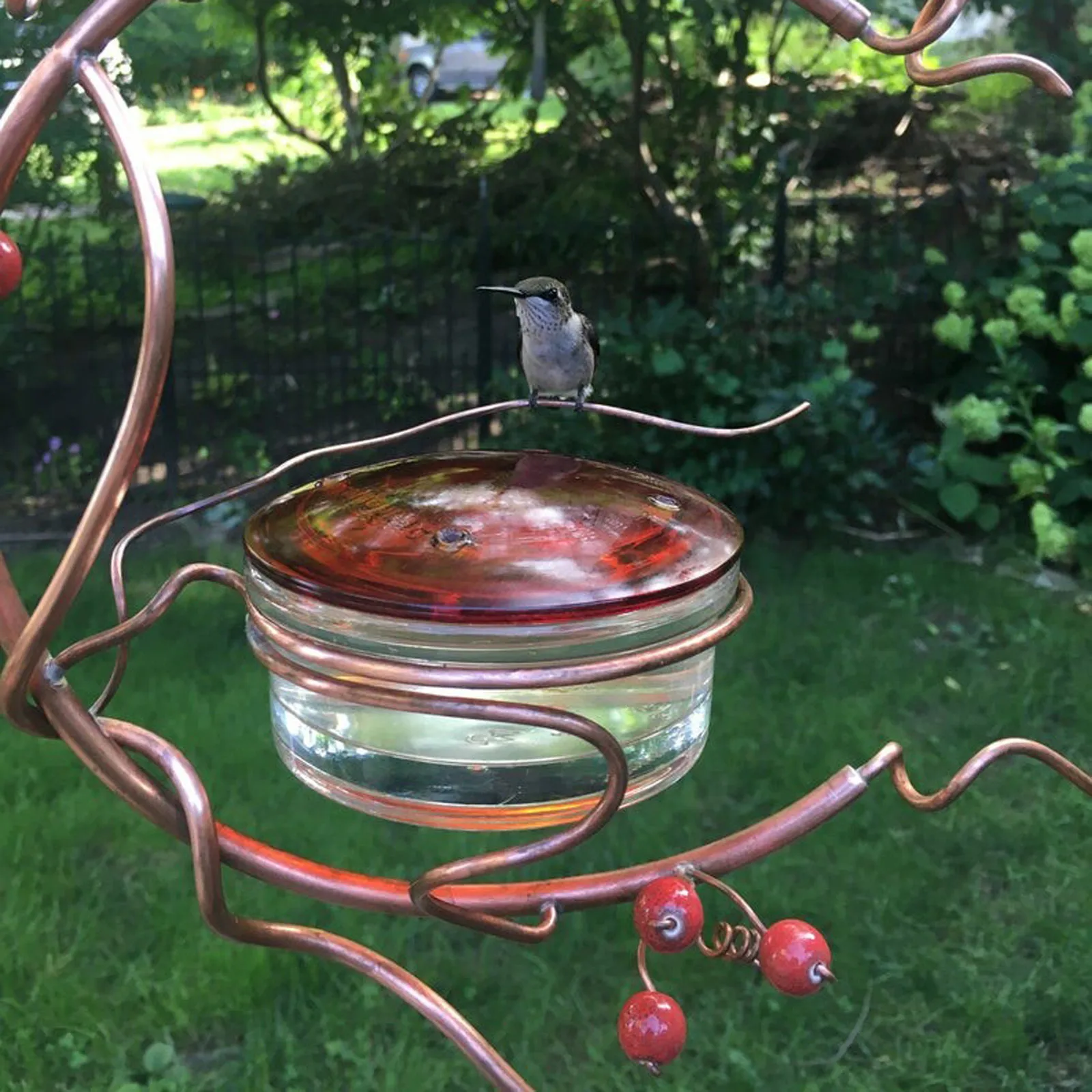 Courtyard Bird Feeders Red Berries Humming Bird Feed Seed Peanut Hanging Suction Mangeoire Oiseaux Exterieur comedero para pjar
Courtyard Bird Feeders Red Berries Humming Bird Feed Seed Peanut Hanging Suction Mangeoire Oiseaux Exterieur comedero para pjar