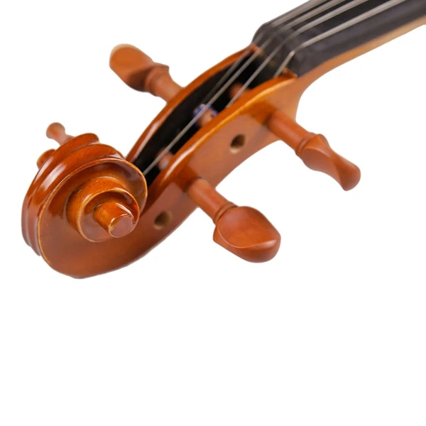 Students Maple Violin Stringed Musical Instrument with Case Bow Strings Full Set Jujube Wood Accessories
Students Maple Violin Stringed Musical Instrument with Case Bow Strings Full Set Jujube Wood Accessories