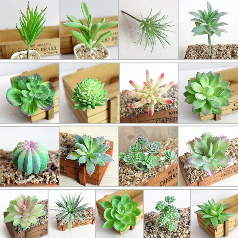 Artificial Succulents Flocking Plant Fake Flower Desktop Simulation Landscape Festival Wedding Party Home Garden Decor
Artificial Succulents Flocking Plant Fake Flower Desktop Simulation Landscape Festival Wedding Party Home Garden Decor