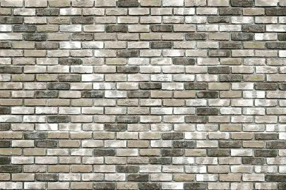 SHUOZHIKE Vinyl Custom Photography Backdrops Prop Brick Wall National Flag Theme Photo Studio Background TT19128-300863
SHUOZHIKE Vinyl Custom Photography Backdrops Prop Brick Wall National Flag Theme Photo Studio Background TT19128-300863